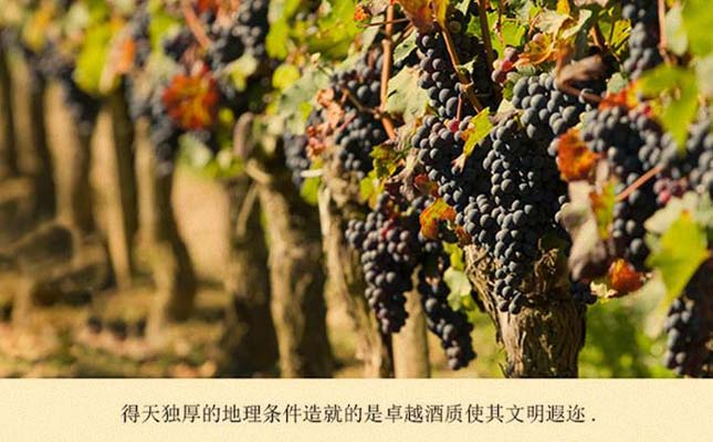 重慶紅酒批發(fā)市場(chǎng)